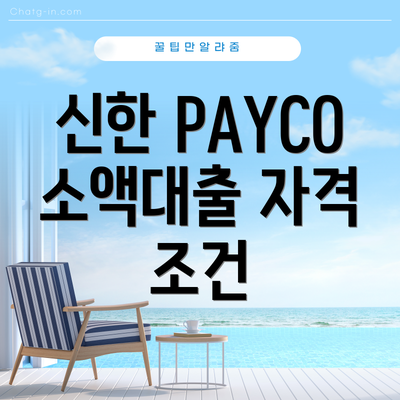 신한 PAYCO 소액대출 자격 조건