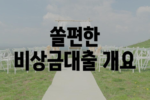 쏠편한 비상금대출 개요