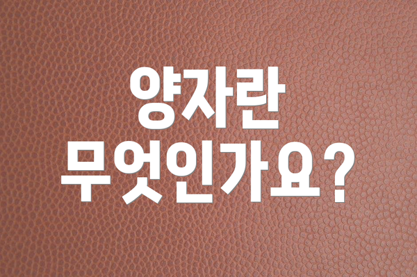 양자란 무엇인가요?