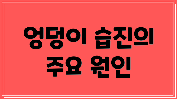 엉덩이 습진의 주요 원인