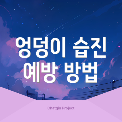 엉덩이 습진 예방 방법
