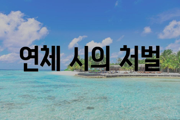 연체 시의 처벌
