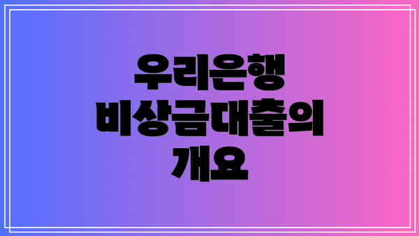 우리은행 비상금대출의 개요