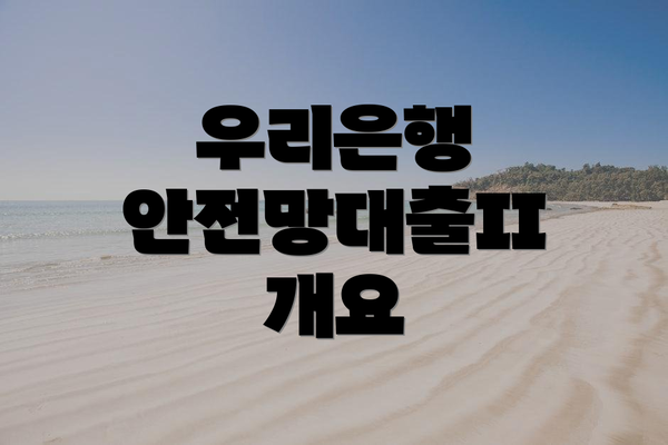 우리은행 안전망대출II 개요