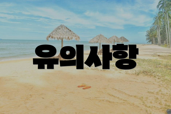 유의사항