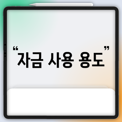자금 사용 용도