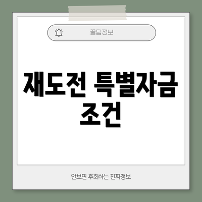 재도전 특별자금 조건