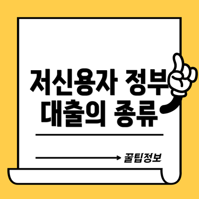저신용자 정부 대출의 종류