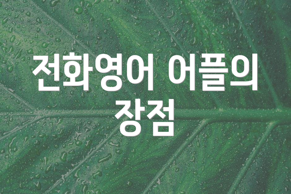 전화영어 어플의 장점