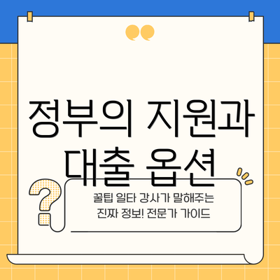정부의 지원과 대출 옵션