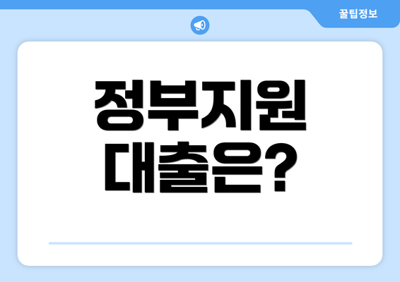 정부지원 대출은?