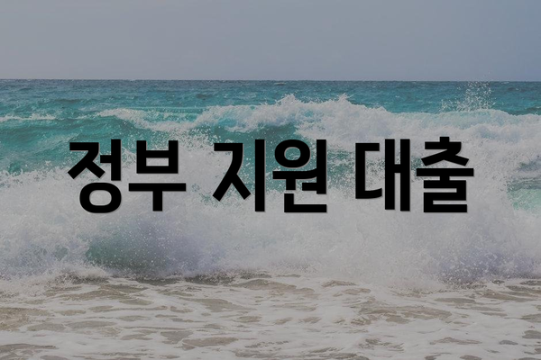 정부 지원 대출