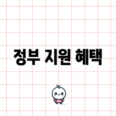 정부 지원 혜택