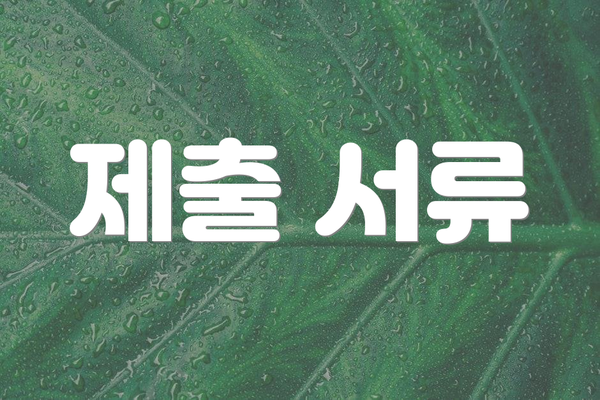 제출 서류