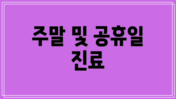 주말 및 공휴일 진료