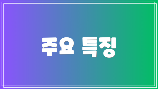 주요 특징