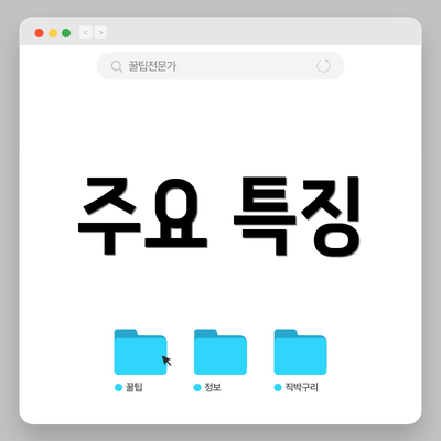 주요 특징