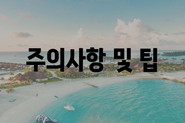 주의사항 및 팁