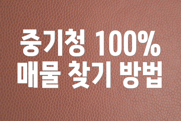 중기청 100% 매물 찾기 방법