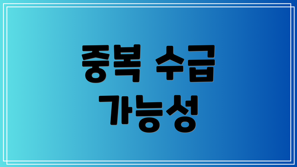 중복 수급 가능성