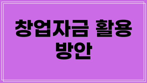창업자금 활용 방안