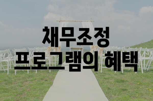 채무조정 프로그램의 혜택