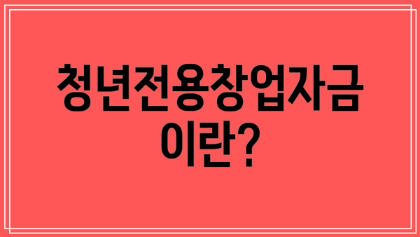청년전용창업자금이란?