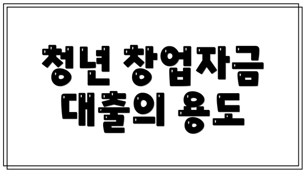 청년 창업자금 대출의 용도