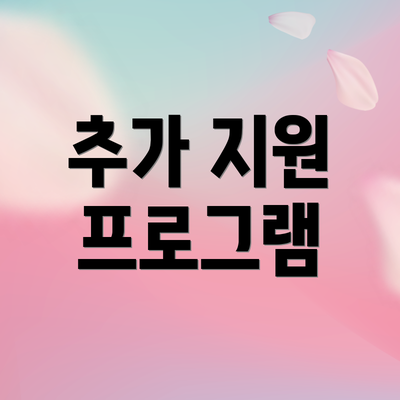 추가 지원 프로그램