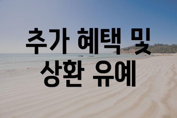 추가 혜택 및 상환 유예