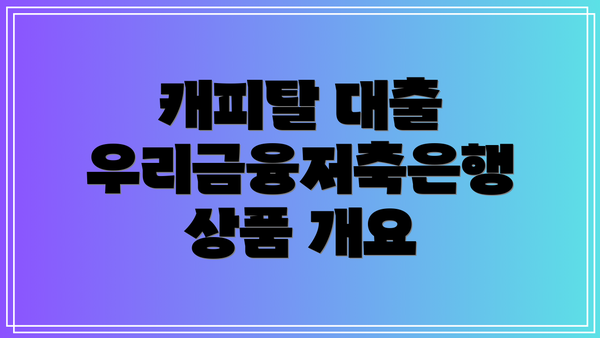 캐피탈 대출 우리금융저축은행 상품 개요