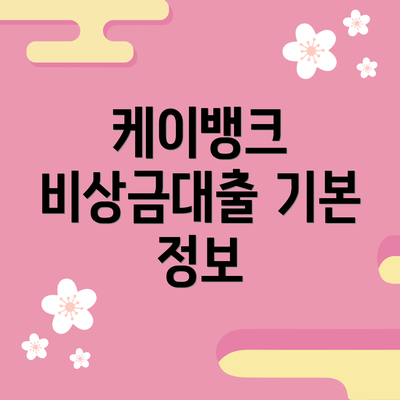 케이뱅크 비상금대출 기본 정보