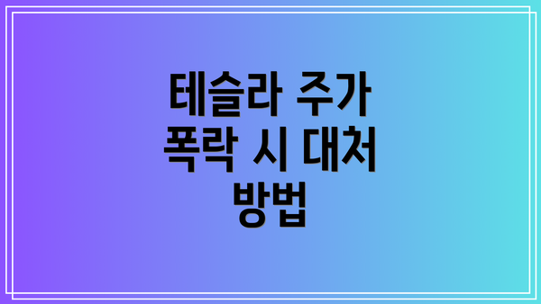 테슬라 주가 폭락 시 대처 방법