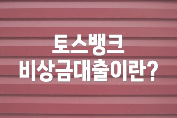 토스뱅크 비상금대출이란?