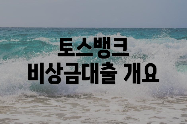토스뱅크 비상금대출 개요