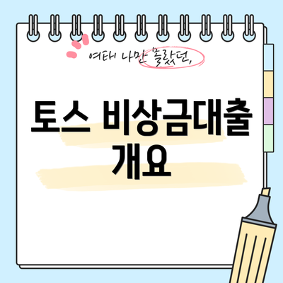 토스 비상금대출 개요