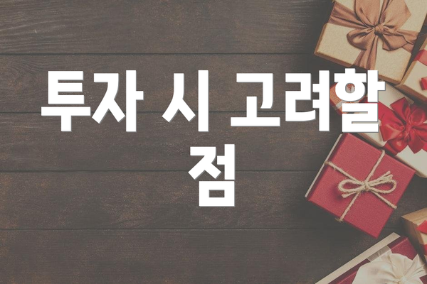 투자 시 고려할 점