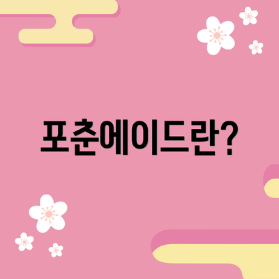 포춘에이드란?