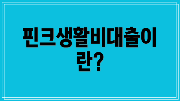 핀크생활비대출이란?