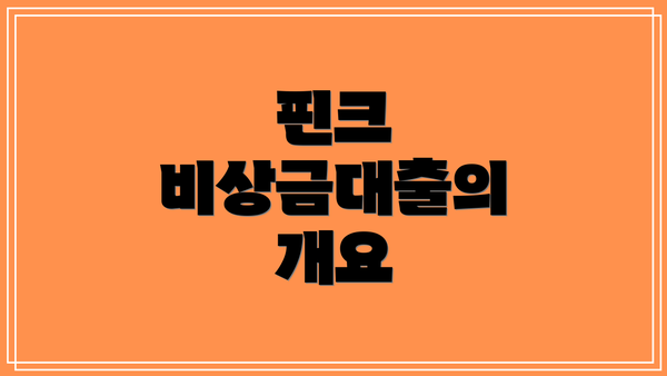 핀크 비상금대출의 개요