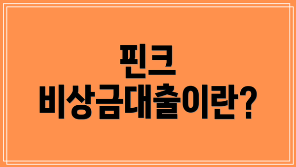 핀크 비상금대출이란?
