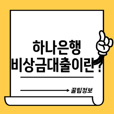 하나은행 비상금대출이란?