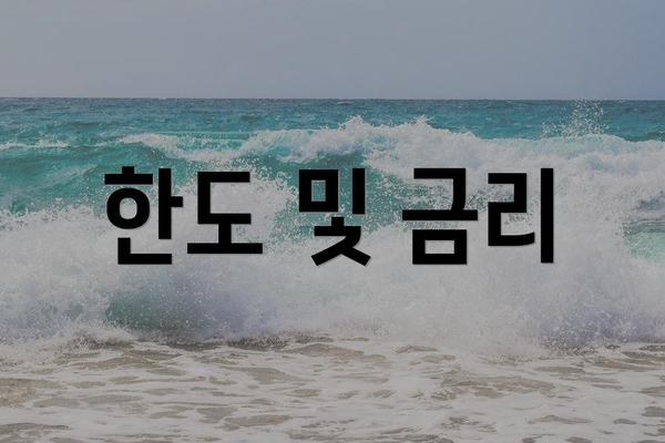 한도 및 금리