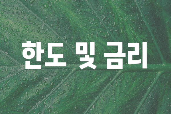 한도 및 금리