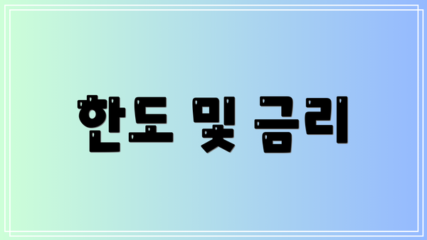 한도 및 금리