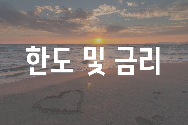 한도 및 금리
