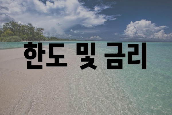 한도 및 금리