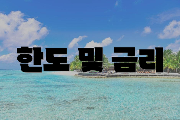 한도 및 금리