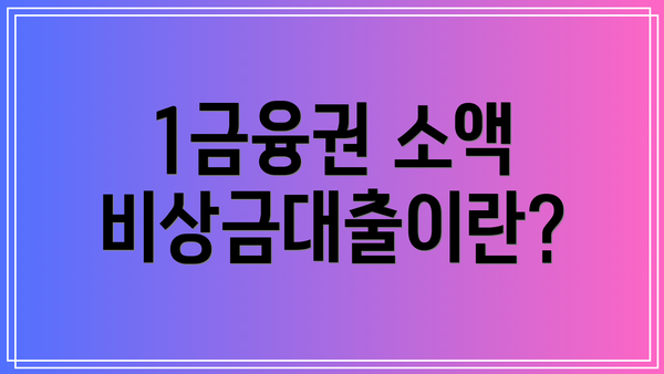1금융권 소액 비상금대출이란?