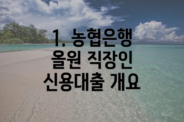 1. 농협은행 올원 직장인 신용대출 개요
